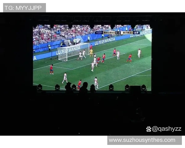 凯尔特人引发球迷激烈争议 此举引发热议与广泛讨论